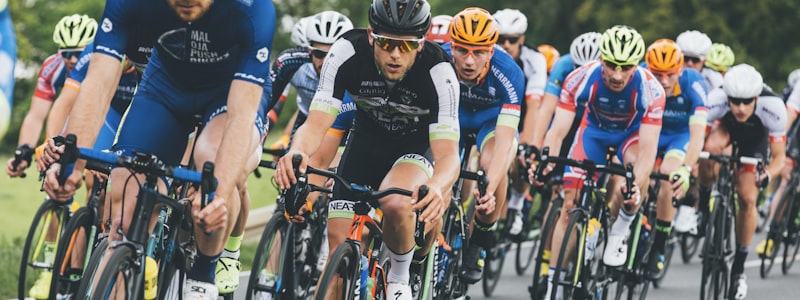 体育爱好者在手机上浏览赛事直播和资讯