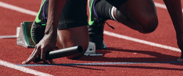 大型体育场馆建设现场，包含座椅和草坪铺设